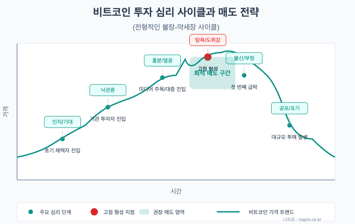 비트코인 가격 곡선과 투자자 심리 단계를 보여주는 차트